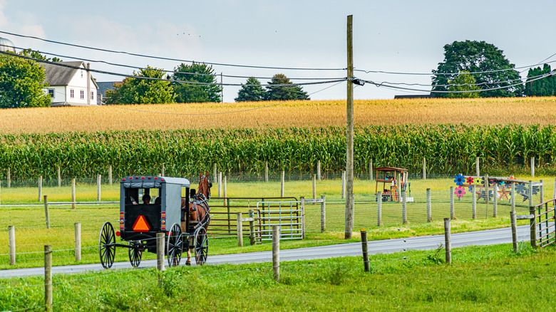a scene of amish life