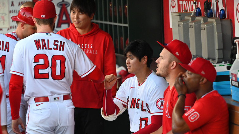 angels players in the dugout