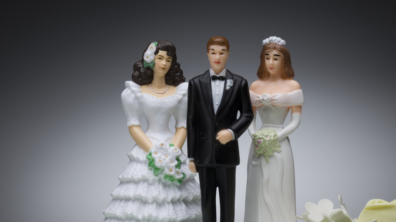 What Does The Bible Actually Say About Polygamy 