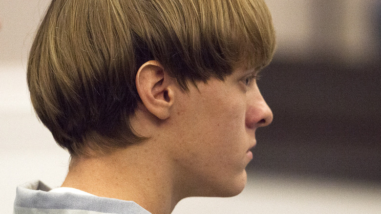 Dylann Roof profile