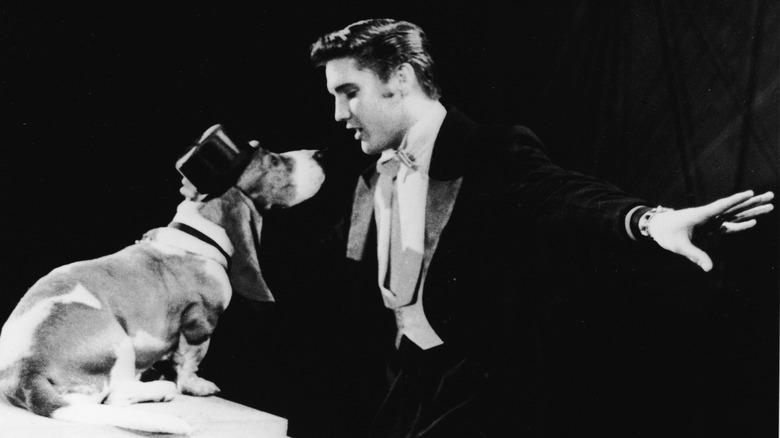 Lot Detail - Elvis Presley Giant-Sized Souvenir Stuffed Hound Dog, Stage  Worn Black SILK Scarf, Souvenir Straw Hat and Button - Given to a Friend  Directly from Elvis and The Colonel at