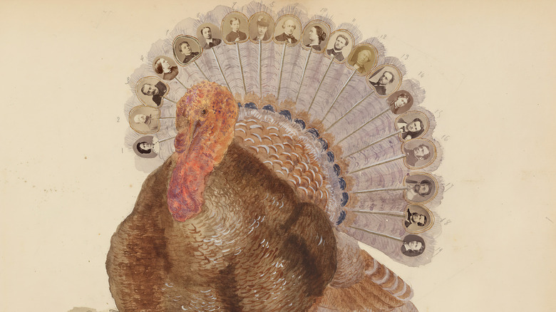 victorian era college turkey feather portraits