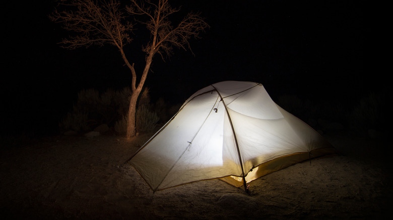 Tent in woods at night