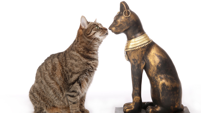 Cat looking at Ancient Egyptian cat statue