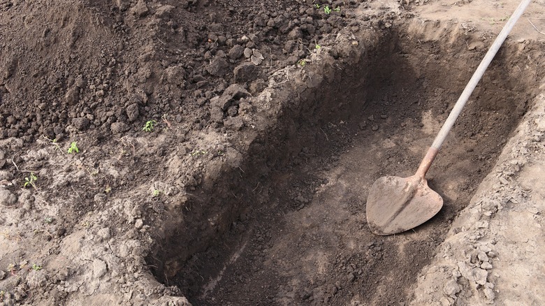 Digging a pit