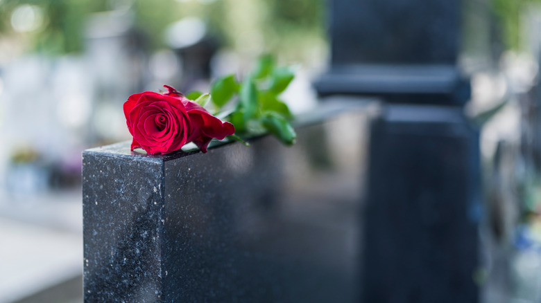 a rose on a grave