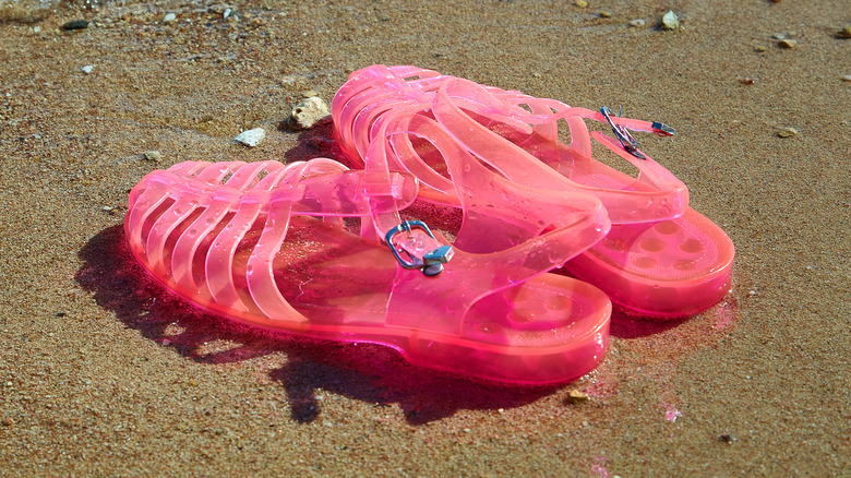 Jellies at the beach 