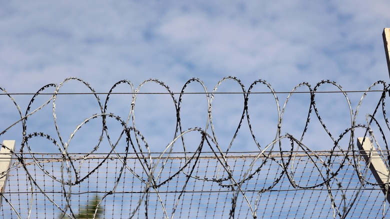 barbed wire atop prison fence