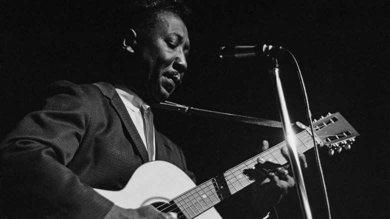 Muddy Waters performing