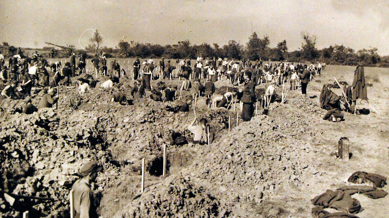 German prisoners, captured during invasion of Normandy, France, digging graves overlooking Dog Red beach