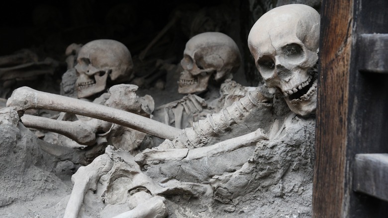 Herculaneum skeleton pile