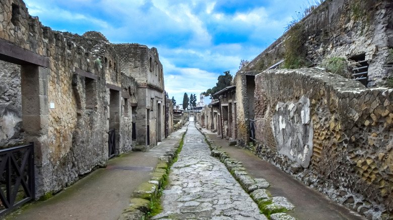 Herculaneum excavated street