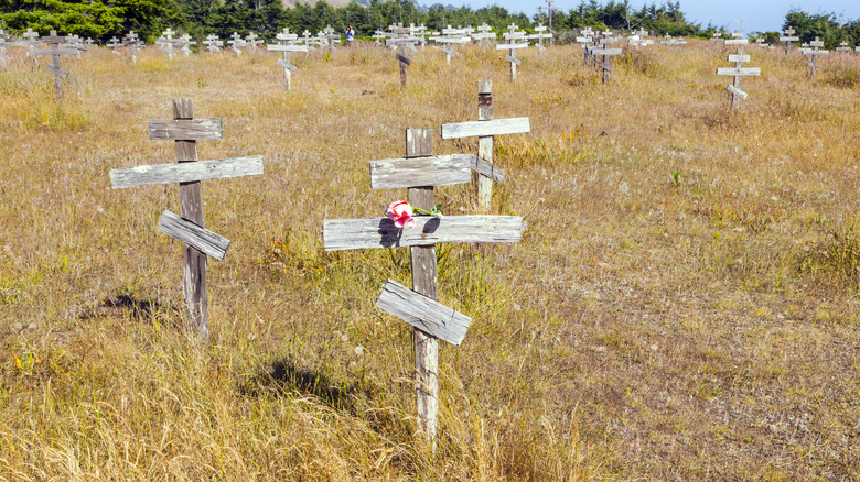 Makeshift wooden cross graveyard