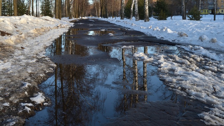 Road with melting snow