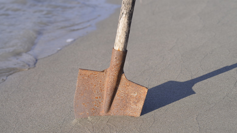 old shovel on the beach