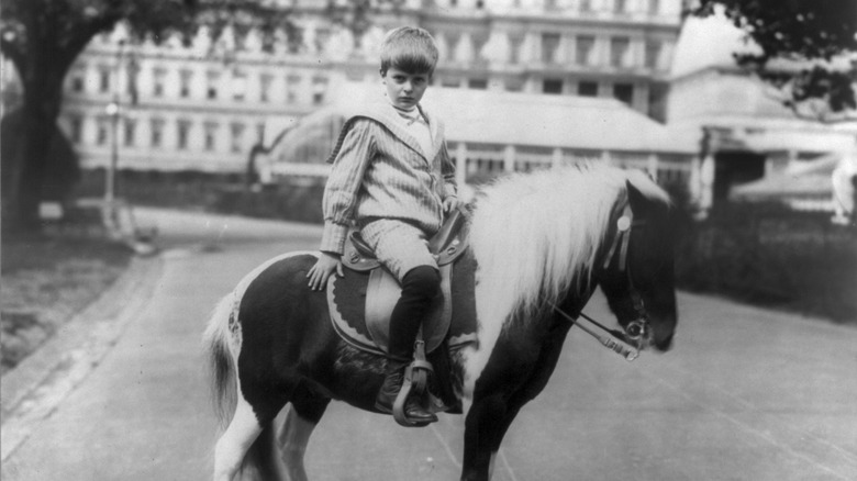 Young Archie Roosevelt on a pony on the White House lawn