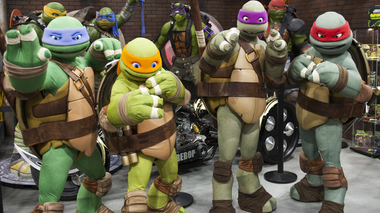 Ninja Turtles posed