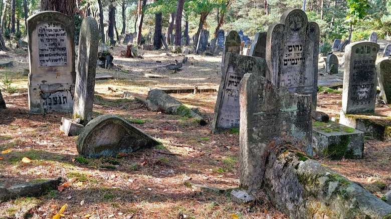 Abandoned cemetery