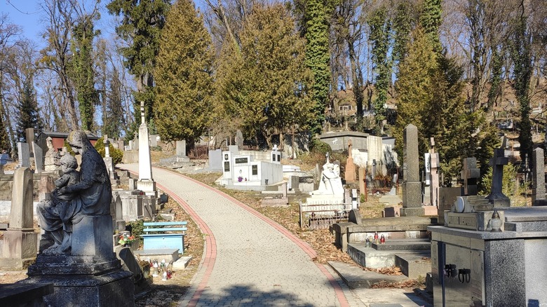 Path between cemetery graves