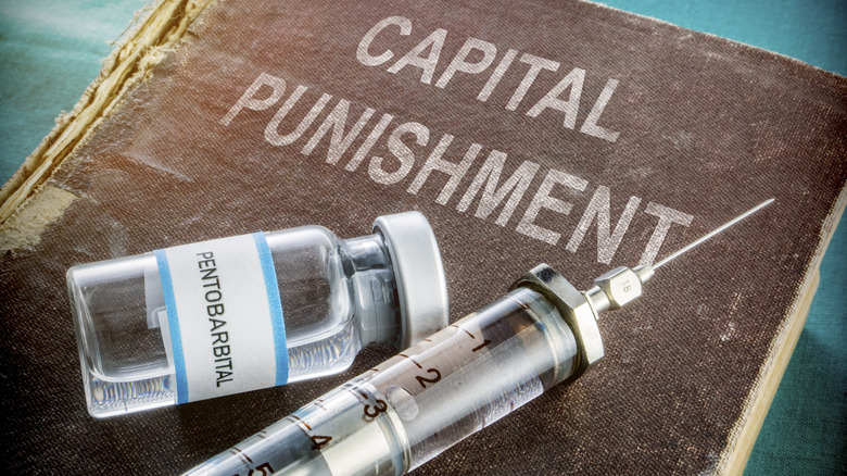 injection and capital punishment book