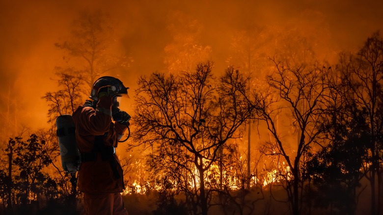 Firefighter observing wildfire