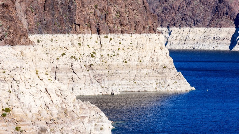 Lake Mead's bathtub ring