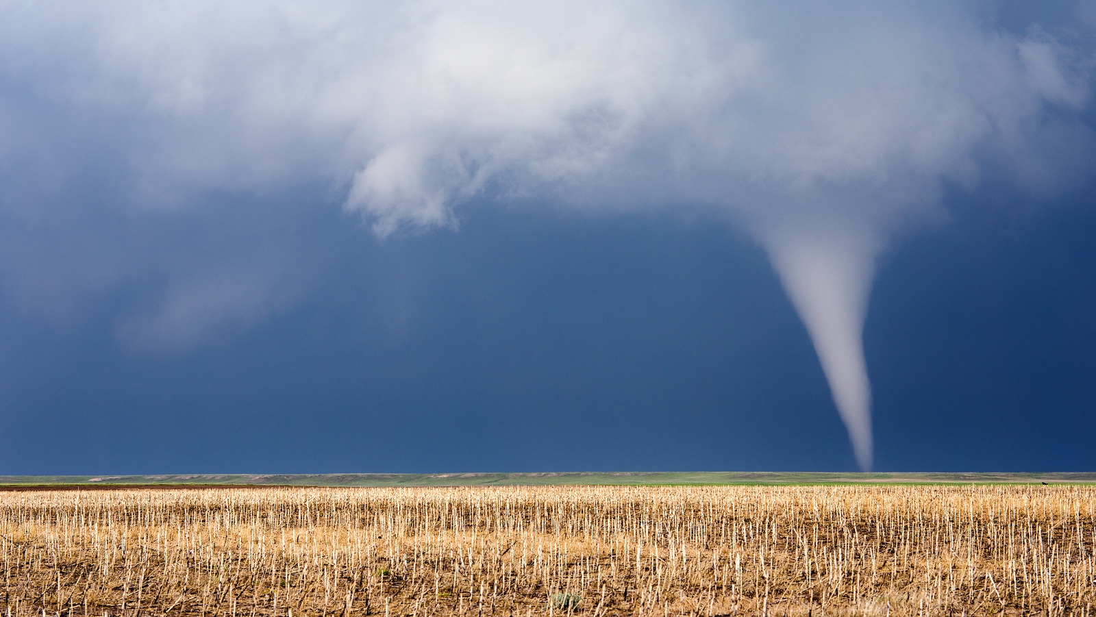 What Happens If You Get Sucked Up By A Tornado