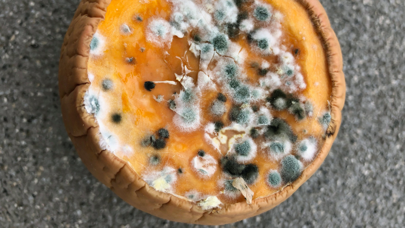 What Happens When You Eat Mold By Accident