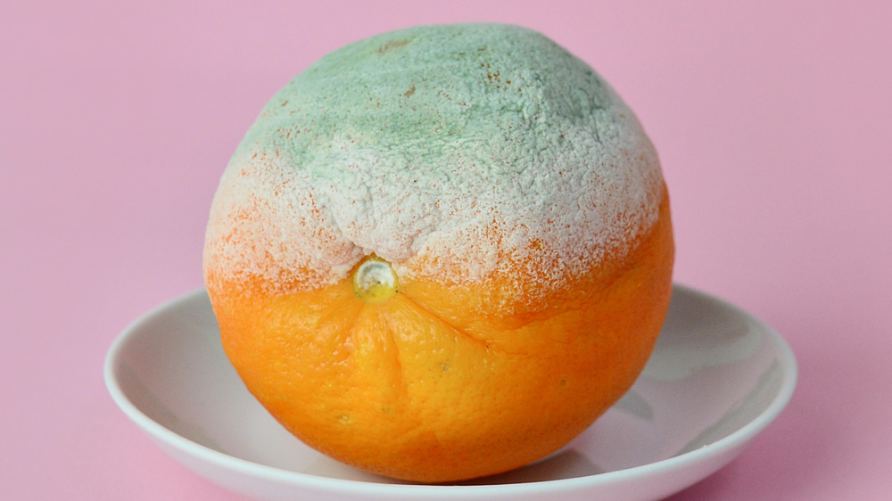 Moldy orange on a plate with a pink background