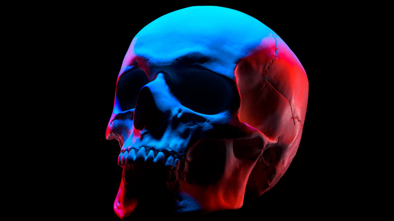 Noble rainbow-hued skull