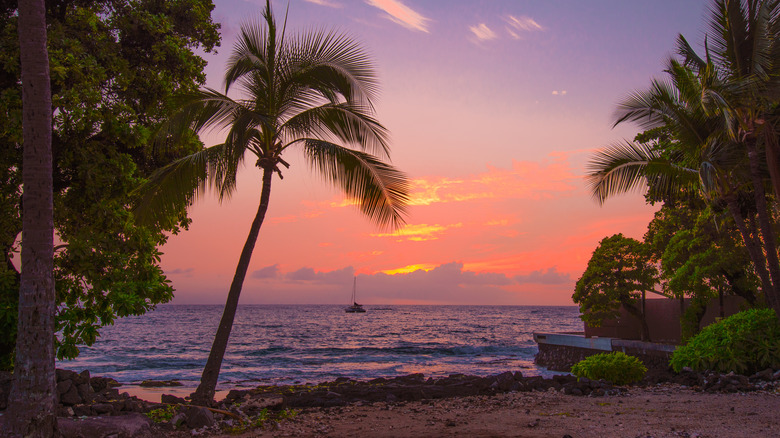 Beautiful beach at sunset