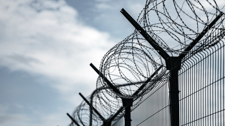 Prison fence with barbed wire