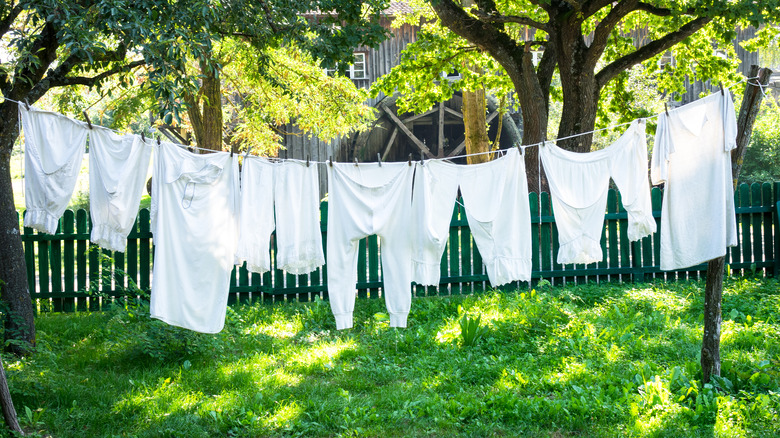 Underwear hanging on a clothesline on a sunny day