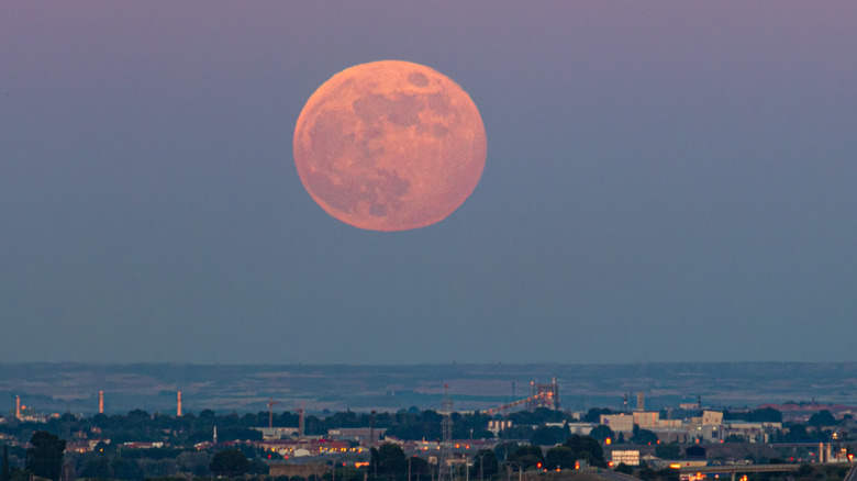 Strawberry supermoon and city skyline