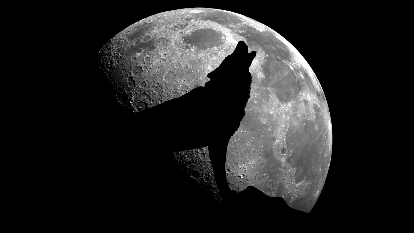 What Is A Wolf Moon? We Explain