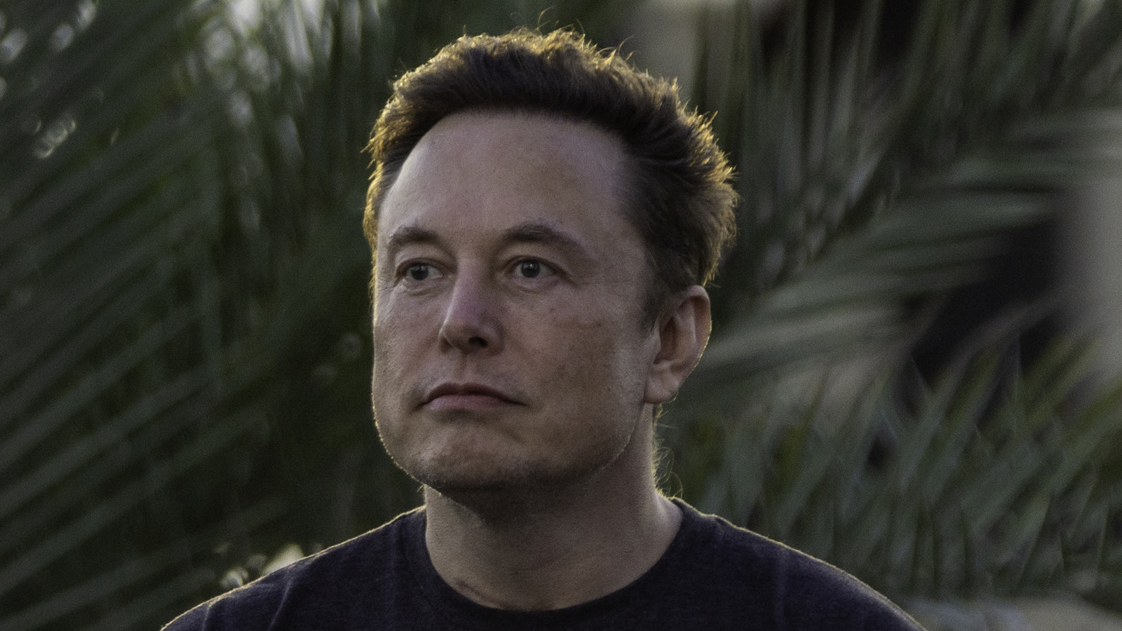 what-is-an-rud-the-gaming-term-that-became-elon-musk-s-way-of