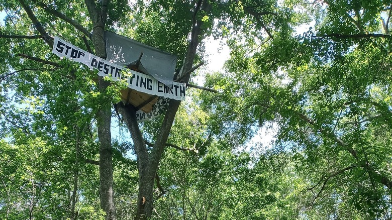 Treehouse camp of activists