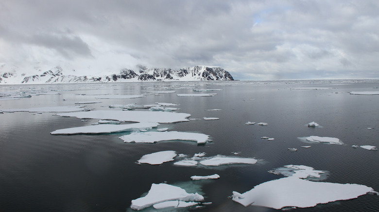 Arctic North Pole water frozen landscape