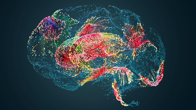 Computerized diagram of brain