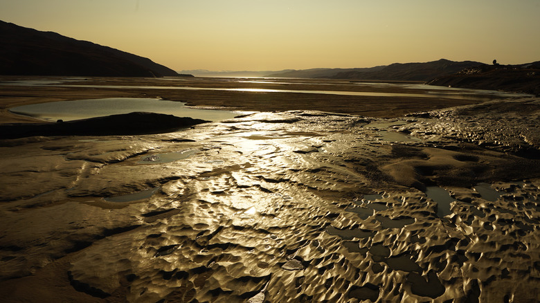 A field of quicksand