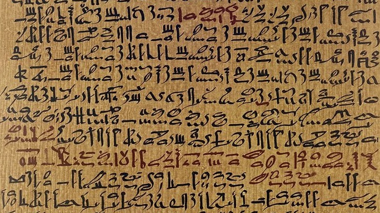 Ebers Papyrus