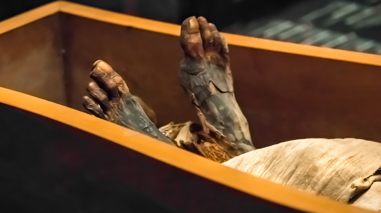 Close-up of a mummy's feet