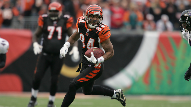  T.J. Houshmandzadeh