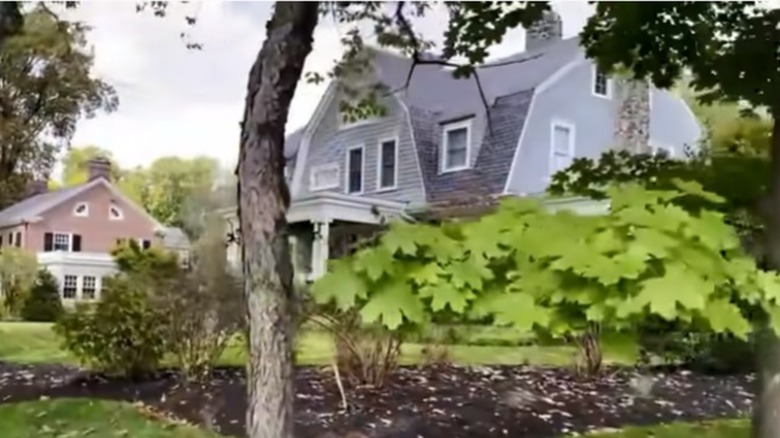 view of house behind bushes from street