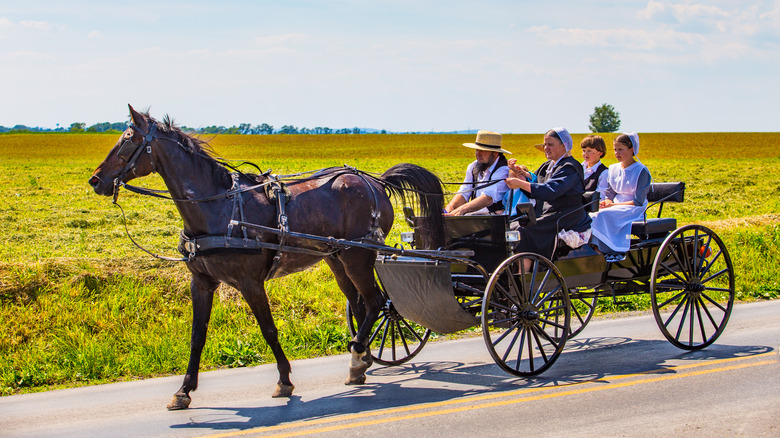 Amish family