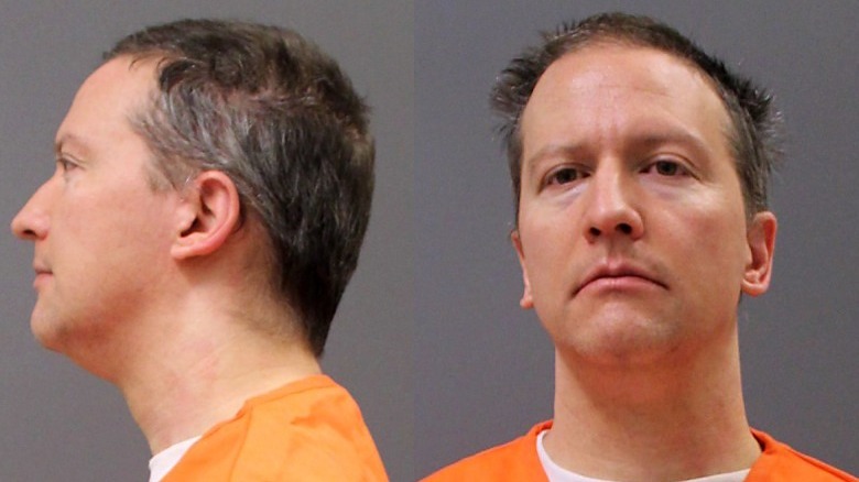 Derek Chauvin's booking photo