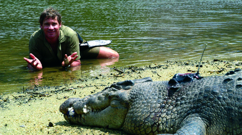 Steve Irwin with a crocodile