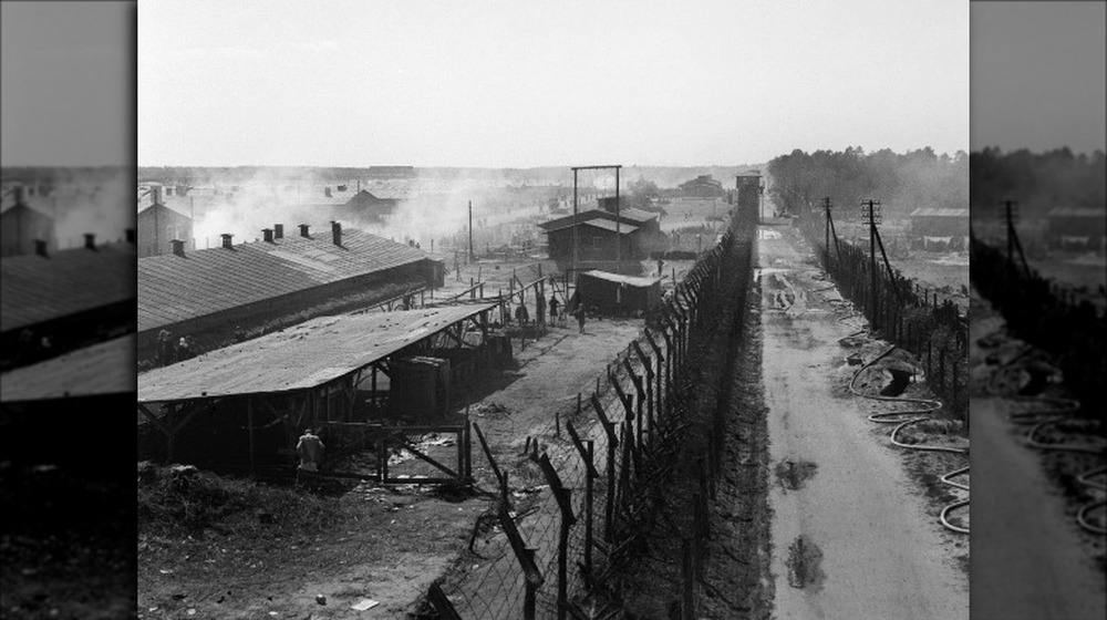 bergen belsen concentration camp liberation