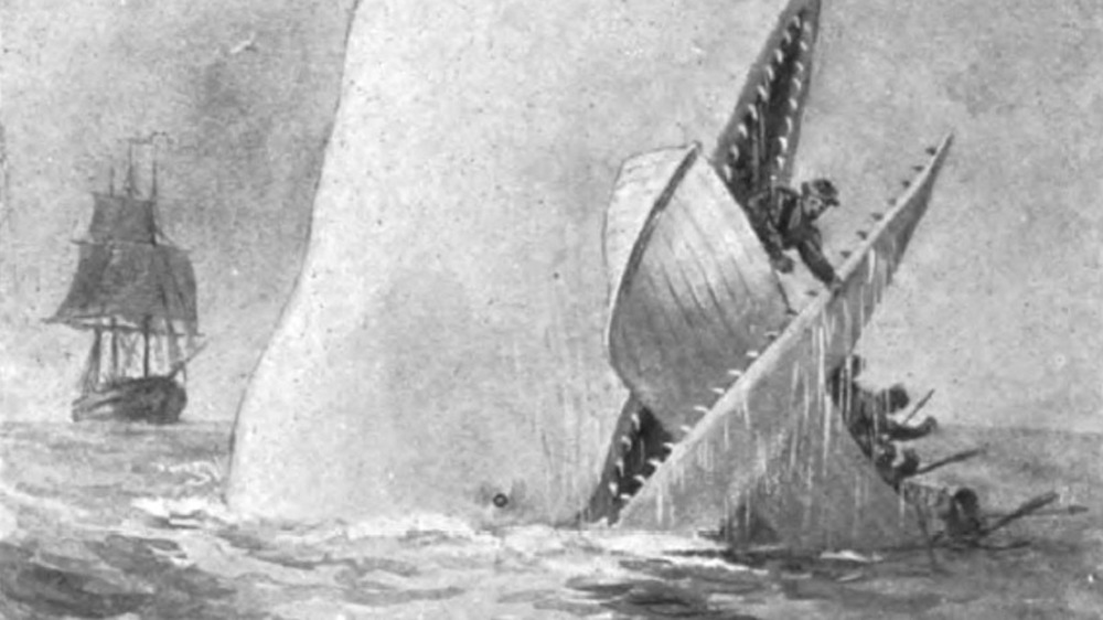 Illustration of Moby Dick destroying a boat