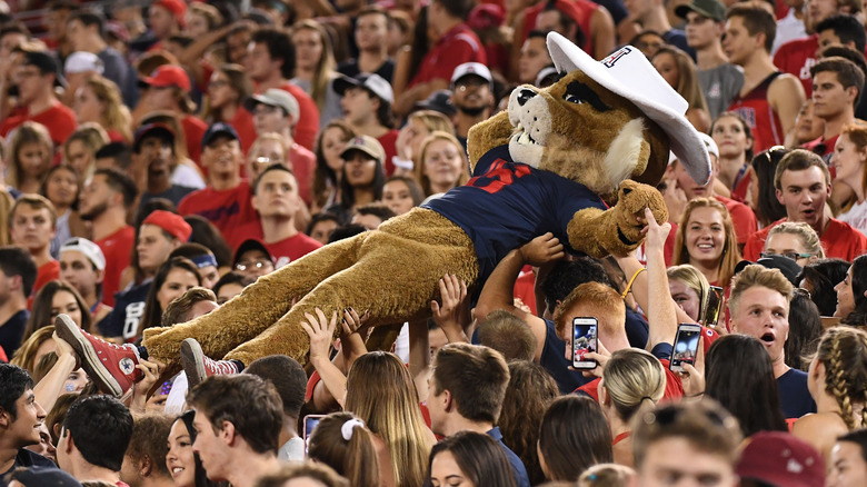 Wilbur the wildcat crowdsurfing